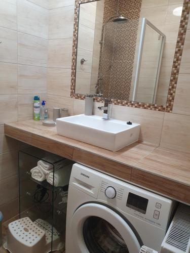 a bathroom with a washing machine and a sink at Baby Apartman in Hajdúszoboszló