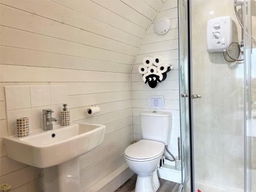 Vonios kambarys apgyvendinimo įstaigoje 1 Bed in Barnstaple 90190