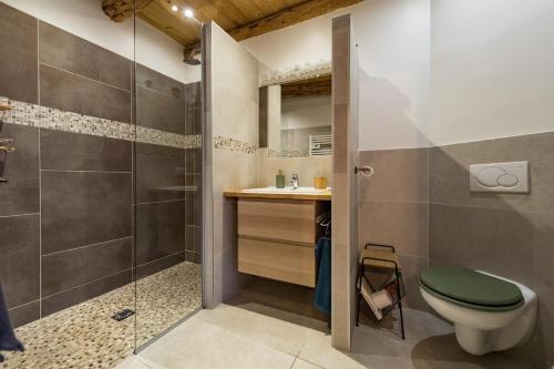 uma casa de banho com um WC e um chuveiro em CosyBergerie em Ugine