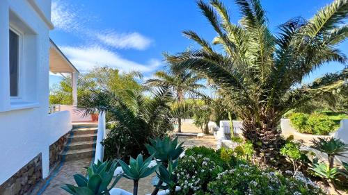 a palm tree sitting next to a white building at La Finca - 3BR Seaside Villa with Private Pool & BBQ in Tangier