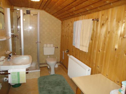 y baño con lavabo, aseo y ducha. en Haus Mellenbach, en Mellau