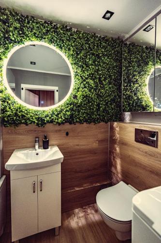 a bathroom with a toilet and a sink and a mirror at Elegance Loft Apartment in Skoczów