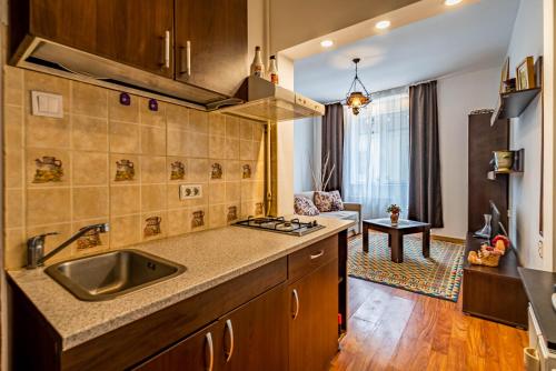 Køkken eller tekøkken på Holiday Cazare Brasov