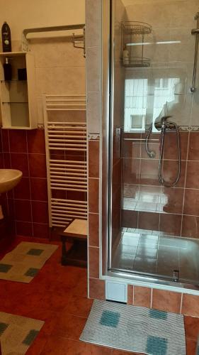 um chuveiro com uma porta de vidro na casa de banho em Guest House Vila Frýdštejn em Frýdštejn