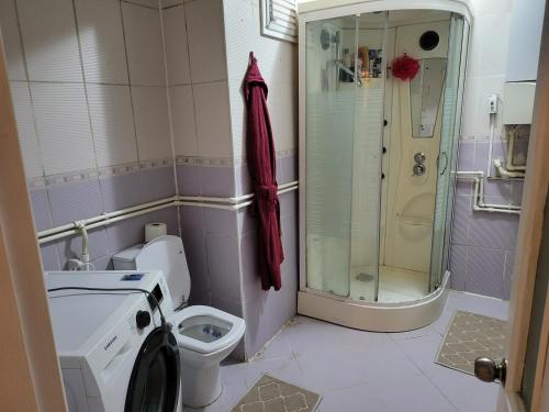 W łazience znajduje się prysznic, toaleta i szklany prysznic. w obiekcie Güzel daire w Stambule