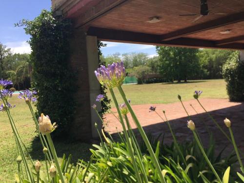 Quinta de Chilo – Photos 2