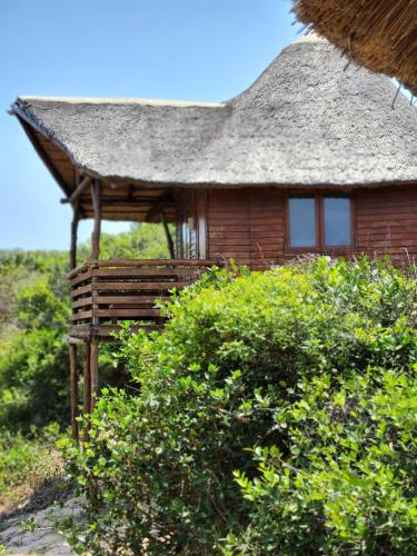 a small house with a thatched roof on a field at Cabana Beach Lodge in Cabo Conguiane