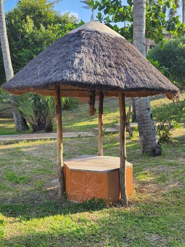 a small hut with a bed in the grass at Cabana Beach Lodge in Cabo Conguiane