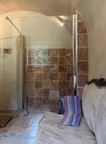 a bathroom with a shower and a bed in a room at Bastide en Provence in Auriol
