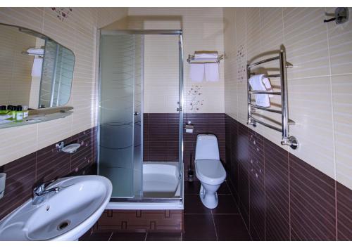 ein Bad mit einem WC, einem Waschbecken und einer Dusche in der Unterkunft Olympic Sport in Podgortsy