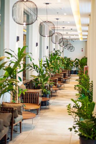 a corridor with potted plants and pendant lights at DoubleTree by Hilton - Resort - Foz do Iguaçu in Foz do Iguaçu
