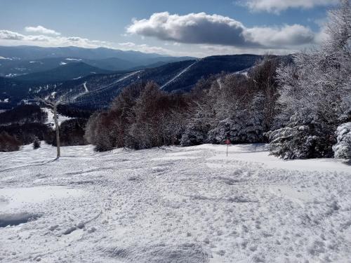 Το Ski to your back door! Shared condo with ski professional and cat. τον χειμώνα