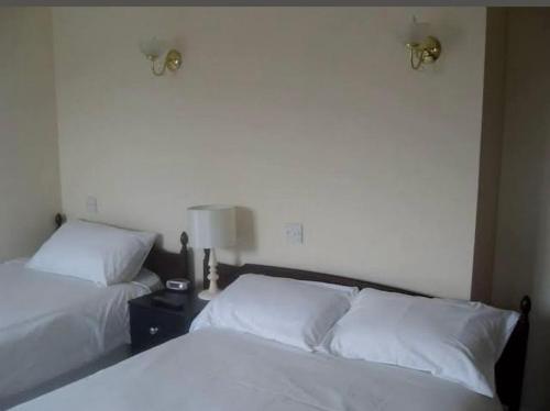 two beds in a bedroom with white sheets and lamps at swan hotel resturant bar and grill in Wellington