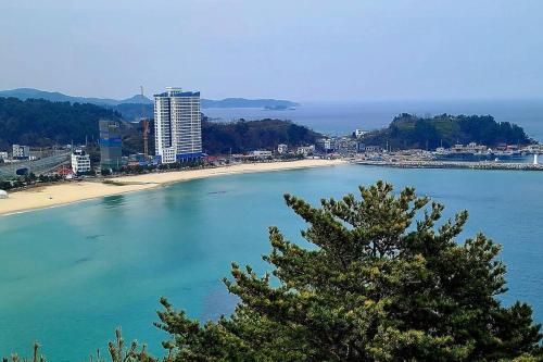 a view of a beach with a tree in the foreground at E7 9th floor in Yangyang