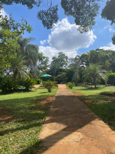 a path through a park with palm trees at Sítio Gran Royalle in Sete Lagoas