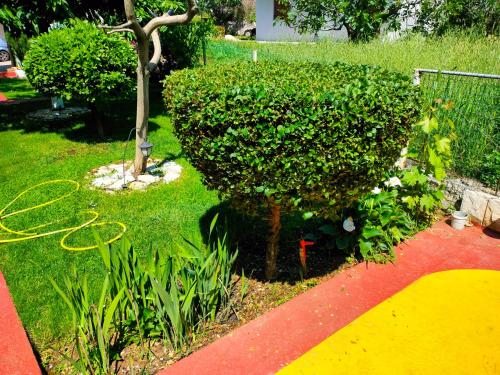 a green bush sitting next to a garden with flowers at Apartman Zvijerko in Trebinje