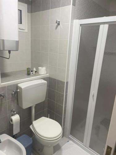 La petite salle de bains est pourvue d'une douche et de toilettes. dans l'établissement case vacanze maglie centro, à Maglie