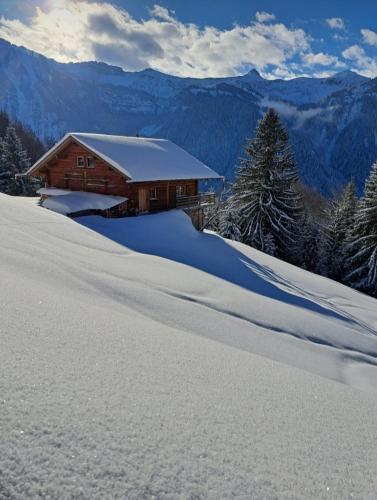 a house on a snow covered hill with a pile of snow at Haus Sonnberg in Mellau