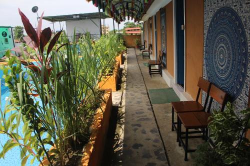 eine Terrasse mit Stühlen und Pflanzen auf einem Gebäude in der Unterkunft Shiva's Hippies Colony in Sauraha
