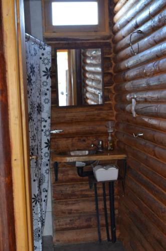 La salle de bains est pourvue d'un lavabo et d'un miroir. dans l'établissement La Escondida, à Tunuyán