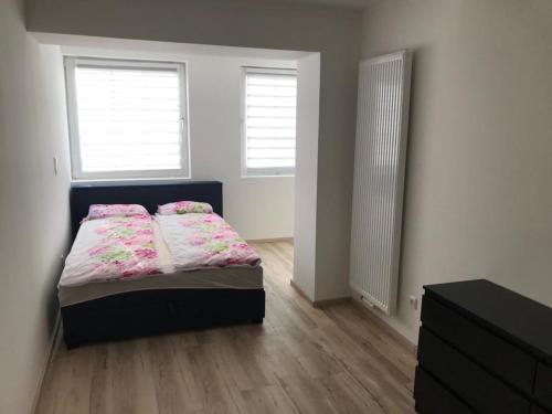 ein Schlafzimmer mit einem Bett und zwei Fenstern in der Unterkunft Rona 2xZimmerwohnung in Darmstadt