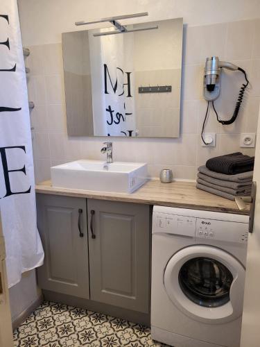 une salle de bain avec un lavabo et une machine à laver dans l'établissement Cottage LE HÉRON, à quelques pas du lac de la Forêt d'Orient - Les Cottages du Belvédère, à Mesnil-Saint-Père