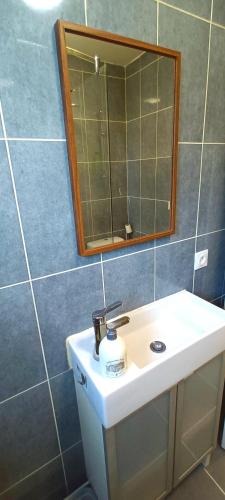 une salle de bain avec un lavabo et un miroir dans l'établissement Appart à Versailles, 2 à 4 pers, avec parking, à Versailles