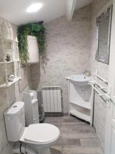 a white bathroom with a toilet and a sink at The Enchanted Cottage in Taizé