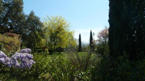 a garden with purple flowers and trees at Al Vecchio Leccio in Pistoia