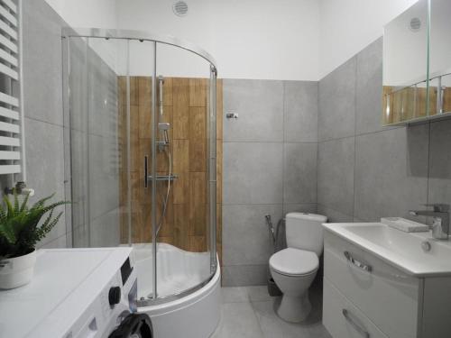 e bagno con doccia, servizi igienici e lavandino. di Hola Apartamenty Nawrot a Łódź