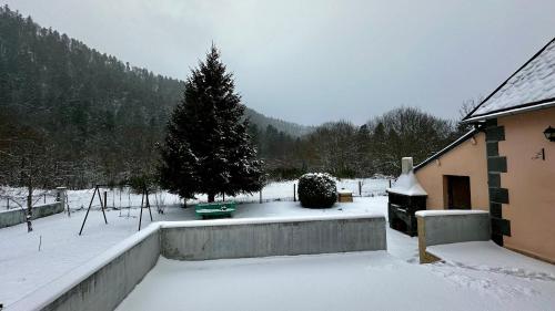 Maison 9pers Le Mont Dore om vinteren