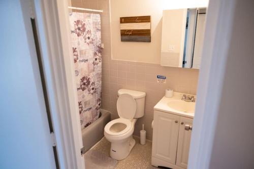 y baño con aseo y lavamanos. en Stylish cozy 1 Bedroom Apartment in Ferndale MI, en Ferndale