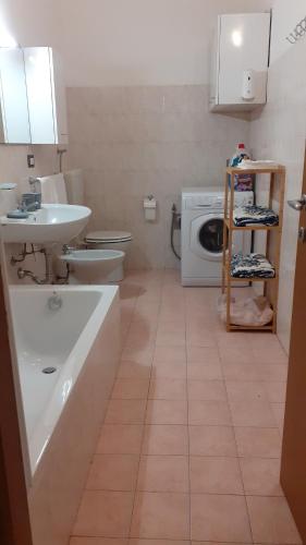 y baño con lavabo y lavadora. en Casa Vacanza Pineta, en Oltrona di San Mamette