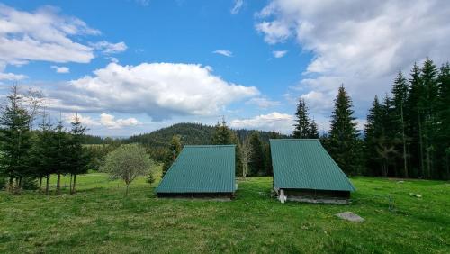 deux bâtiments avec des toits verts dans un champ dans l'établissement Katun VRELA - Vergaševići, à Bijelo Polje