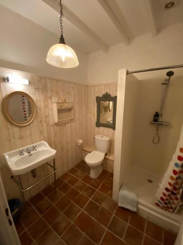 ein Bad mit einem Waschbecken, einem WC und einer Dusche in der Unterkunft Immaculate 6 plus Bed Villa with pool in Sarron in Sarron