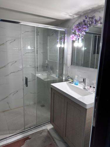 a bathroom with a shower and a sink and a toilet at Pireas new hotel in Piraeus