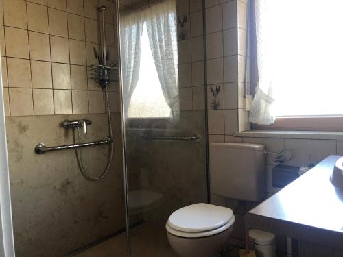 uma casa de banho com um WC e uma cabina de duche em vidro. em Ferienhaus Büttner em Rimsting