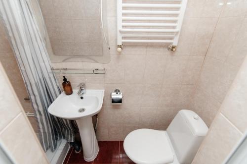 ein kleines Bad mit WC und Waschbecken in der Unterkunft Vieru in Chişinău