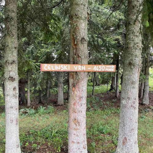 a sign on a tree in a forest at Katun VRELA - Vergaševići in Bijelo Polje