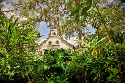 a building in the middle of a forest of trees at Hacienda Coloma in Fusagasuga