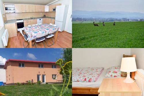 a collage of pictures of a house with a table and a cat at Apartmány Klimkovice in Klimkovice