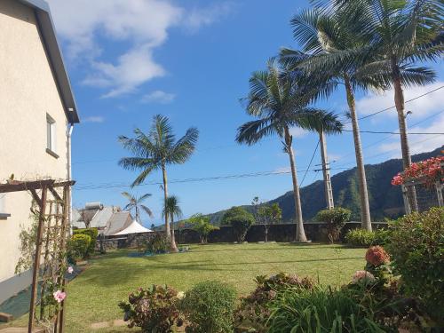 a yard with palm trees and a house at Le 53-Maison de campagne-LES MAKES in Saint-Louis