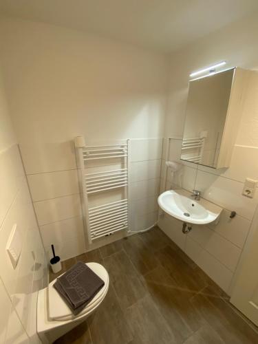 W łazience znajduje się umywalka, toaleta i lustro. w obiekcie Ostfriesenfischer w mieście Leezdorf