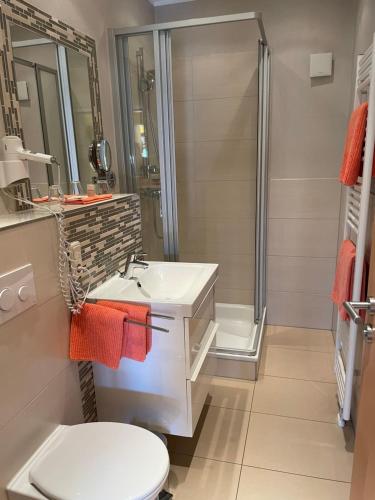 ein Bad mit einem WC, einem Waschbecken und einer Dusche in der Unterkunft Traumhaus am Maar 1 in Schalkenmehren