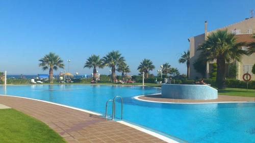 a large swimming pool with palm trees in the background at Vera Natura Urbanización Naturista in Vera