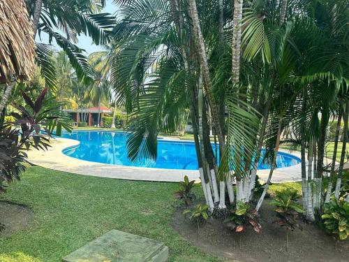 una piscina con palme accanto a un resort di alquiler puerto de San Jose a Puerto San José