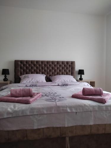 - un grand lit avec 2 oreillers dans l'établissement Apartman Petra, à Niš