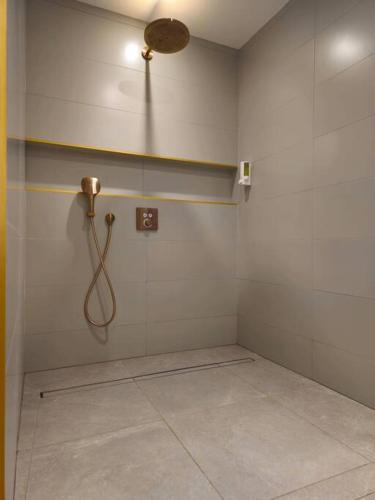 a bathroom with a shower with a hose at Loft/Jacuzzi L'instant in Saint-Valéry-en-Caux