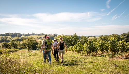 a group of people walking through a field of grapes at Seuls en Pleine Nature - Gîte la Côte Blanche in Puygaillard-de-Quercy