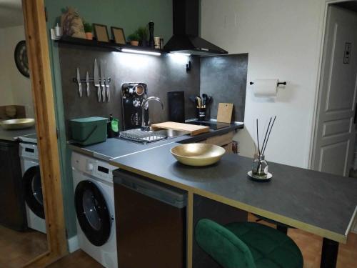 - une cuisine avec un comptoir et un lave-linge dans l'établissement Gîte La Dolce Vita du Perigord, à Bergerac